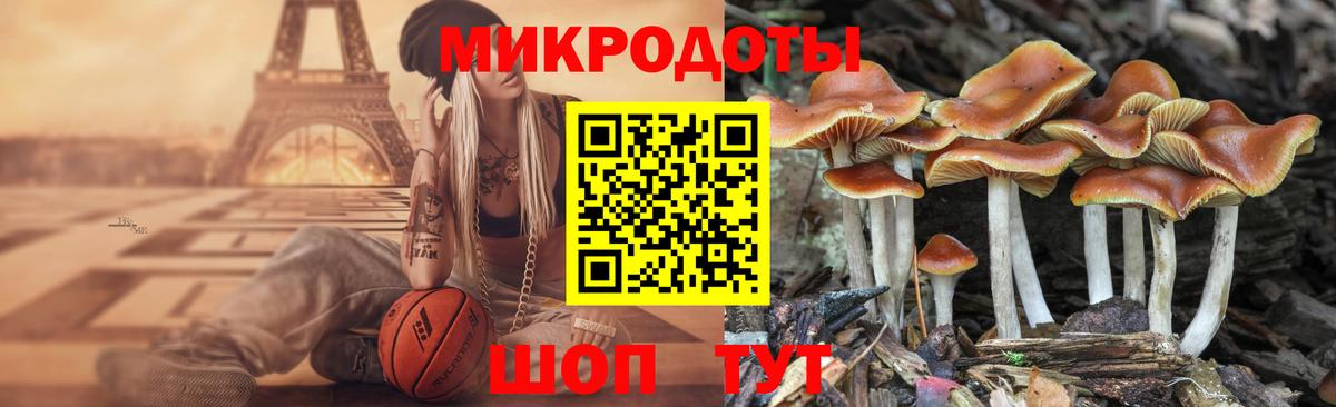 Псилоцибиновые грибы Magic Shrooms Орск